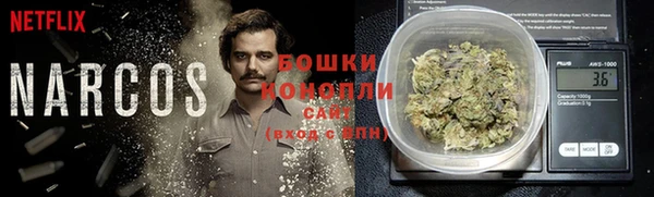 PSILOCYBIN Протвино