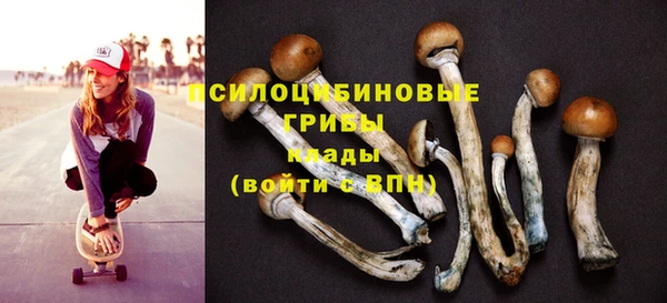 не бодяженный Пролетарск